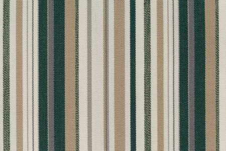 0402 Menta