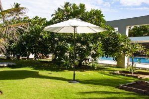Center Pole Umbrella